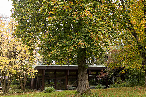 Psychiatrische Fortbildungen WS 25/26 Auf einer grünen Wiese ist im Vordergrund ein großer Laubbaum, rechts und links daneben weitere Laubbäume. Im Hintergrund befindet sich ein einstöckiges Gebäude mit Flachdach.