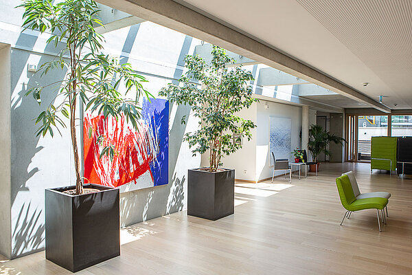 SINOVA Klinik Friedrichshafen. Zwei Grünpflanzen in Töpfen umrahmen ein abstraktes Bild.