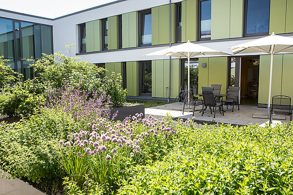 Grüne Sträucher vor einer Terrasse mit Sonnenschutz.