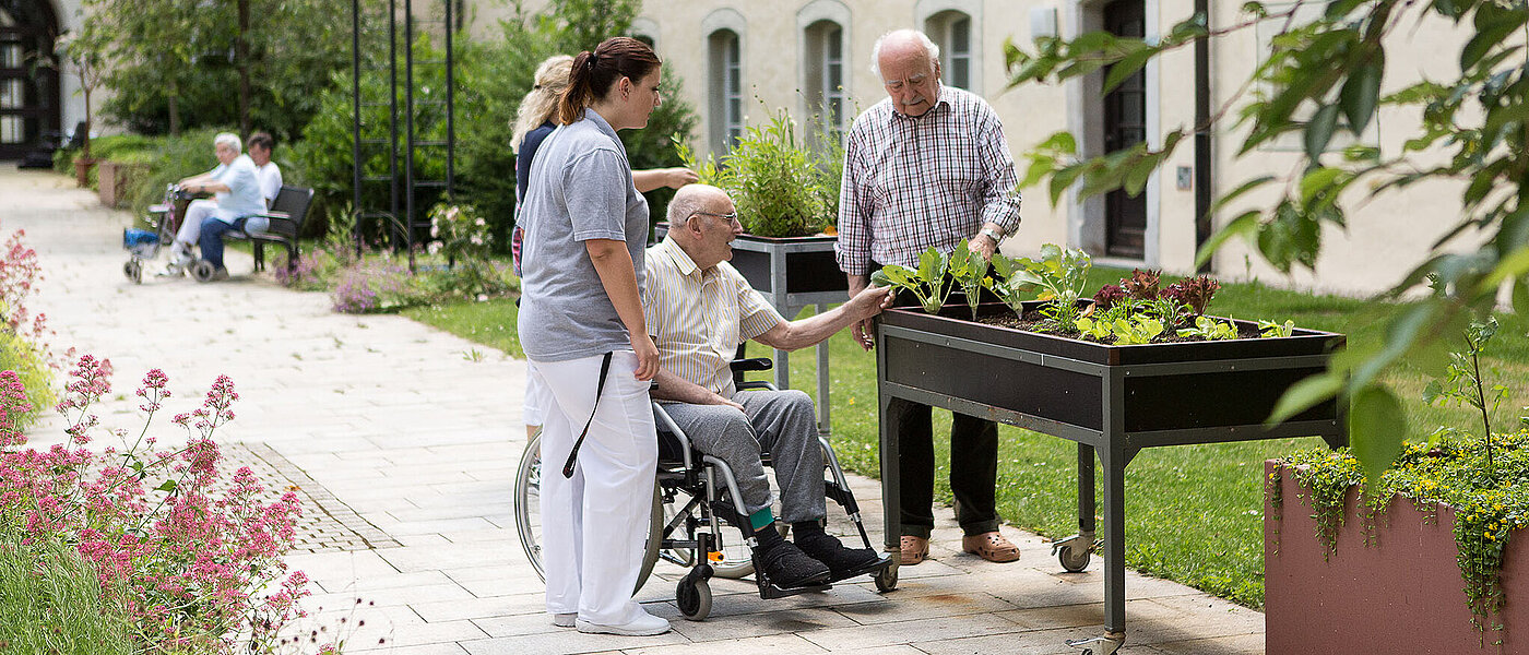 Ältere Herren mit Pflegerinnen im Gemüsegarten
